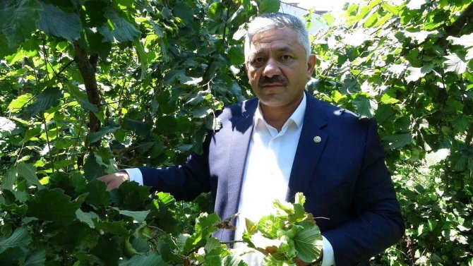 Soydan: “Serbest Piyasa Üreticiler Kadar Manavları Da Mağdur Etti”