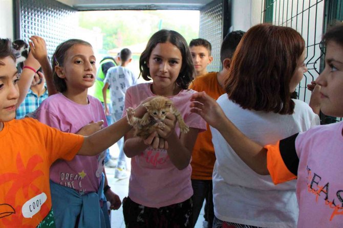 Amasya Belediyesi’nden Sokak Hayvanları İçin Yerden Isıtmalı Otel
