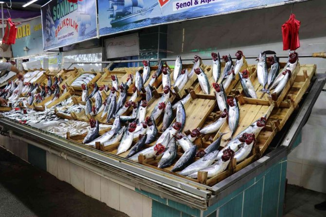 Tezgahlarda Balık Çeşitliliği Arttı