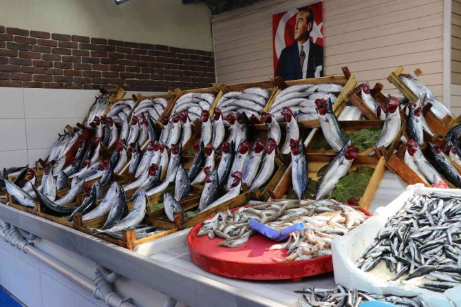 Tezgahlarda Balık Çeşitliliği Arttı