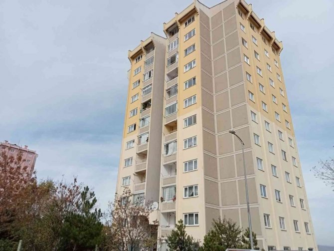 7. Kattan Atlayarak İntihar Etti