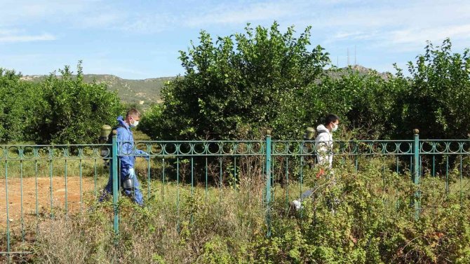 Kayıp Genç Ölü Bulundu
