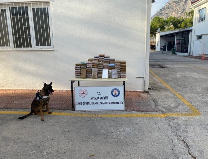 Deniz Yüzeyinden Paketlerle Uyuşturucu Sevkiyatına Şafak Operasyonu