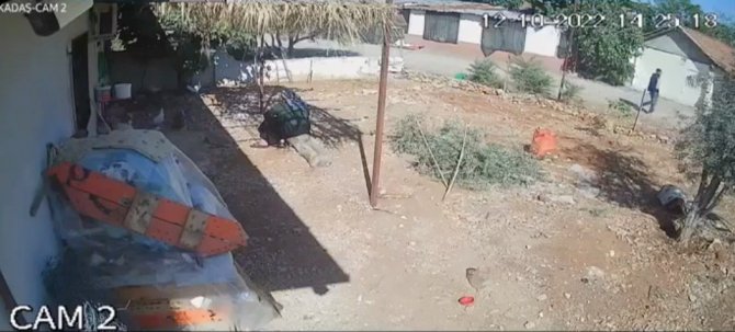 Sokak Ortasında Öldürülen Yaşlı Kadının Ölmeden Önce Son Görüntüleri Ortaya Çıktı