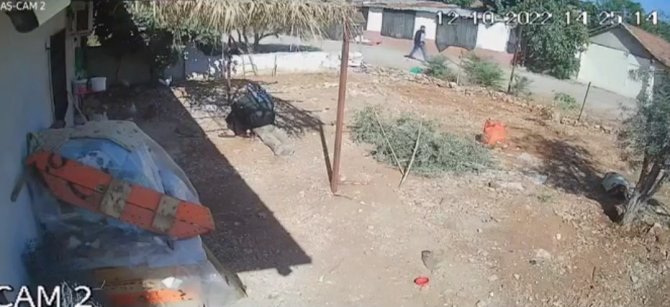Sokak Ortasında Öldürülen Yaşlı Kadının Ölmeden Önce Son Görüntüleri Ortaya Çıktı