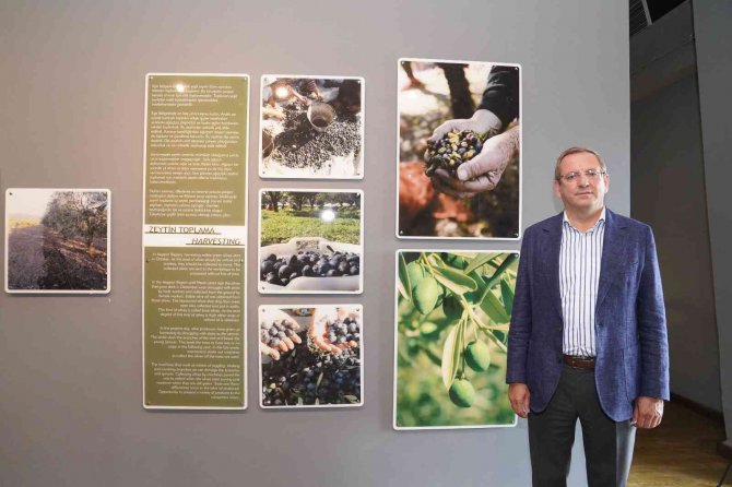Ayvalık’ta Zeytinin Müzesi Geri Dönüyor