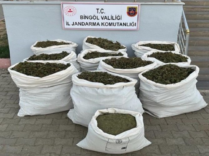 Bingöl’de Terörün Finans Kaynağına Darbe: 3 Milyon Kök Kenevir Ele Geçirildi