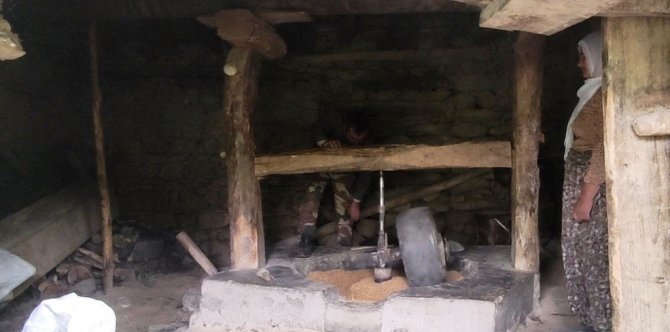 Bitlis’te Geleneksel Yöntemlerle Pirinç Hasadı Yapılıyor