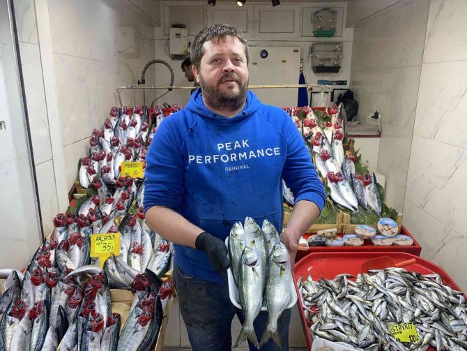 Çanakkale’de Olta Lüferin Kilosu 320 Liradan Tezgahlarda