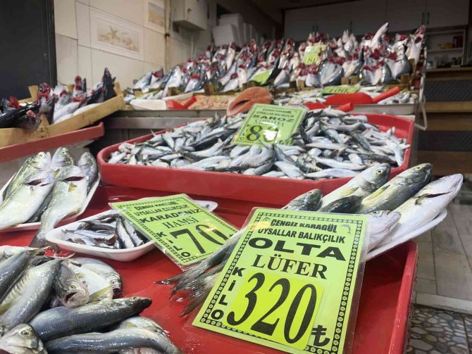 Çanakkale’de Olta Lüferin Kilosu 320 Liradan Tezgahlarda