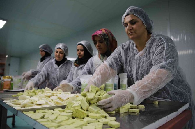 Dondurma Artık Kışın Da Tüketilecek