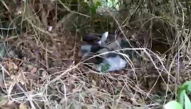 Diyarbakır’da Eylül Ayında Yapılan 118 Operasyonda 146 Kişi Gözaltına Alındı: 12 Tutuklama