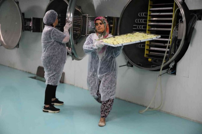 Dondurma Artık Kışın Da Tüketilecek