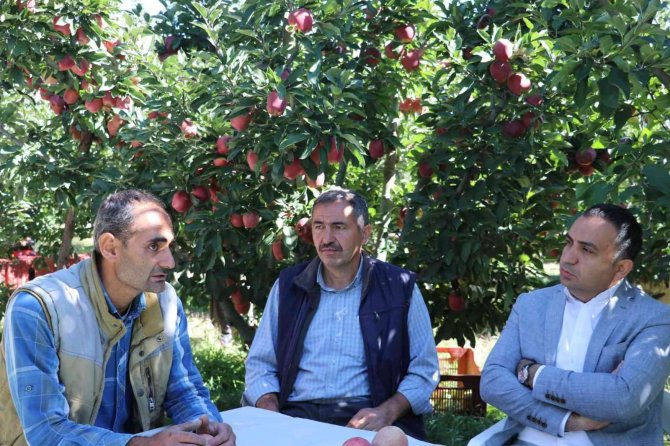 Eğirdir’de 61 Bin Dekarlık Elma Bahçesinden 400 Bin Ton Rekolte Bekleniyor