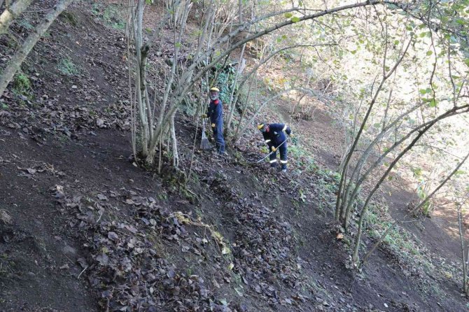 Fınver’e Rekor Başvuru