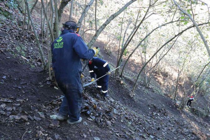 Fınver’e Rekor Başvuru