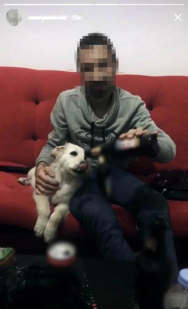 Son 12,5 Yılda Hayvanlara Kötü Davrananlara 643 Bin Tl Ceza Kesildi