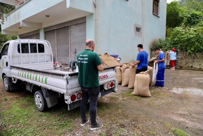 Fi̇skobi̇rli̇k Fiyat Farkıyla Fındık Alımlarını Sürdürüyor