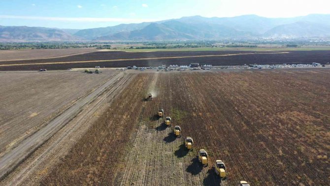 Tarım Ve Orman Bakan Yardımcısı Pakdil, Muş Ovası’nda Biçerdöverle Ayçiçeği Hasadı Yaptı