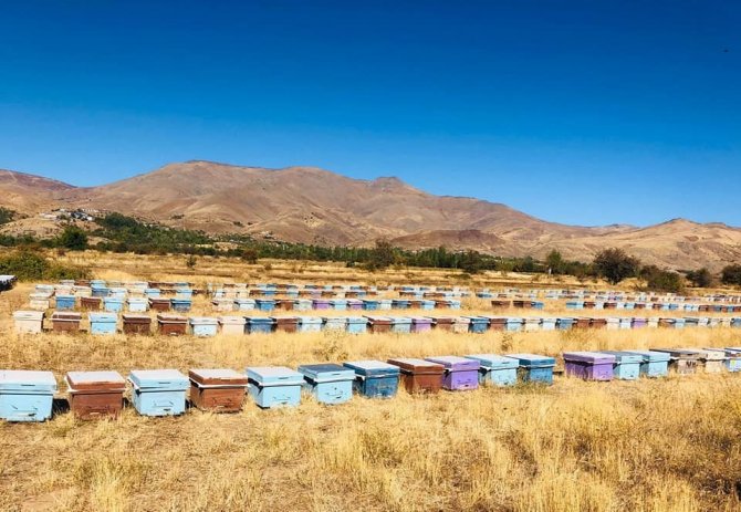 Elazığ’da Arılı Kovan Denetimleri Sürüyor