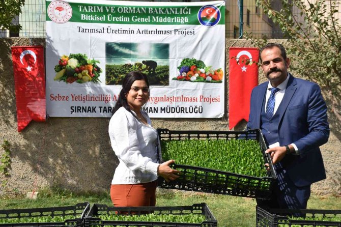 Şırnak’ta Seralara Kadın Eli Değdi