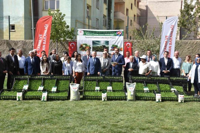 Şırnak’ta Seralara Kadın Eli Değdi
