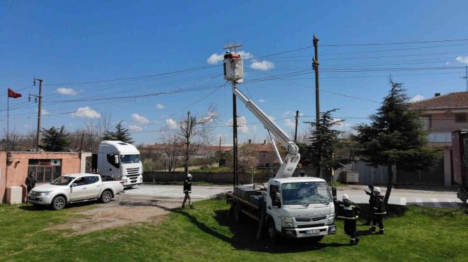 “Leylek Popülasyonunu Koruma” Projesi Finali Getirdi