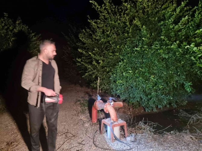 Limon Bahçesinde Gece Gündüz Hırsızlık Nöbeti