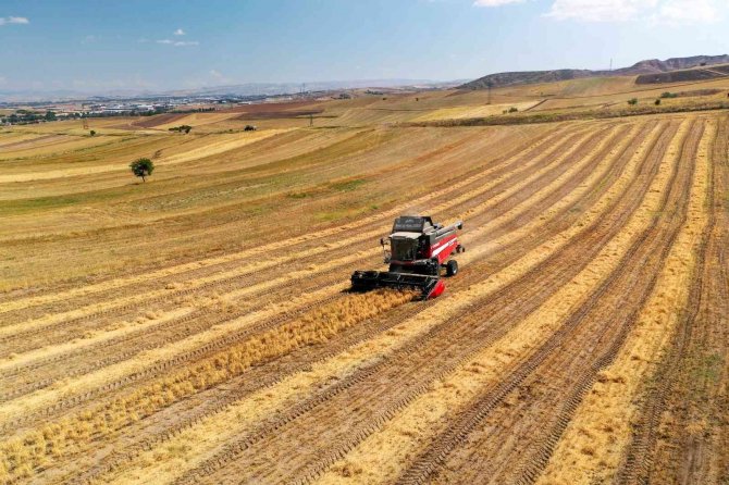 Altındağ Belediyesi’nden Çiftçilere Tohum Desteği