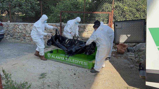 Naranciye Bahçesinde Erkek Cesedi Bulundu