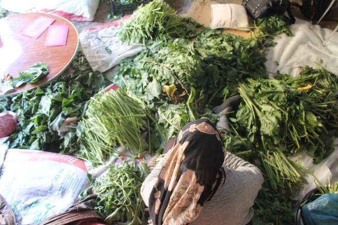 Bayburtlu Kadınların Kışlık Konserve, Turşu Hazırlıkları Başladı