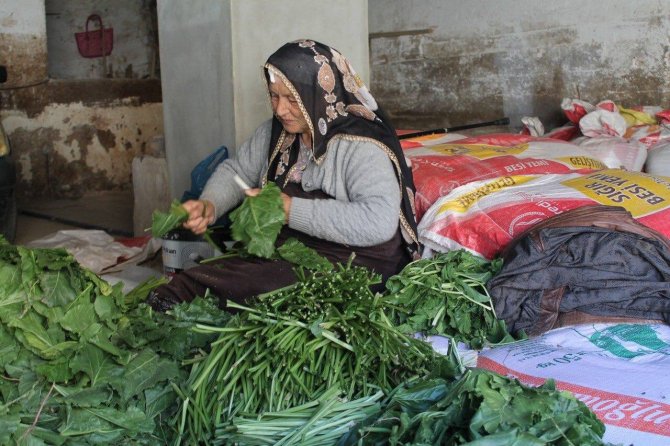Bayburtlu Kadınların Kışlık Konserve, Turşu Hazırlıkları Başladı