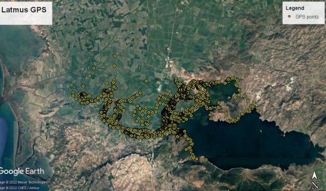 Aydın’da Nesli Tehlike Altında Olan Saz Kedisi Konuşuldu