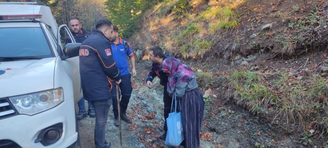 Yeğeniyle Mantar Toplamaya Giden Yaşlı Kadın Ormanda Kayboldu