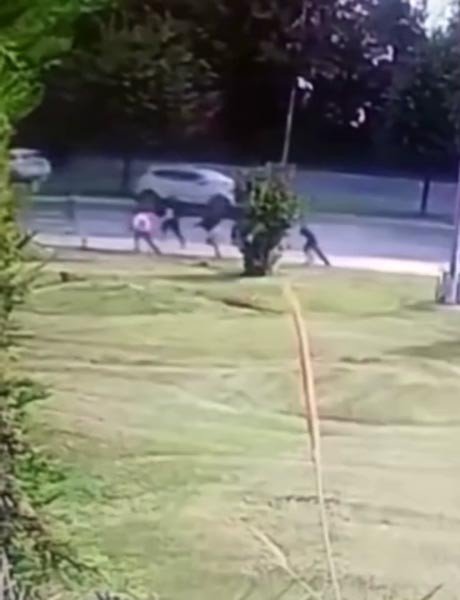 Köpeklerden Kaçan Çocuk Arabanın Altında Kaldı