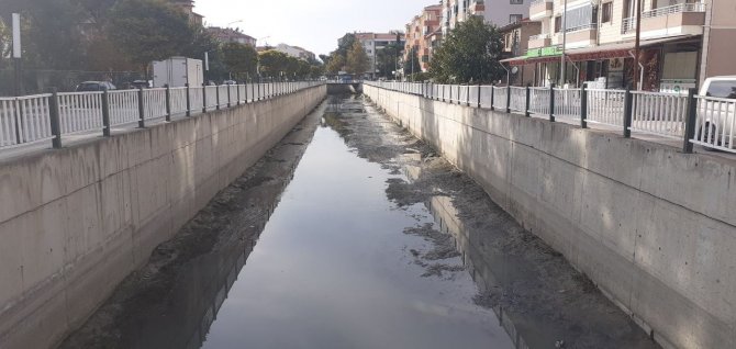 Su Seviyesi Düşen Kanalda Onlarca Balık Öldü