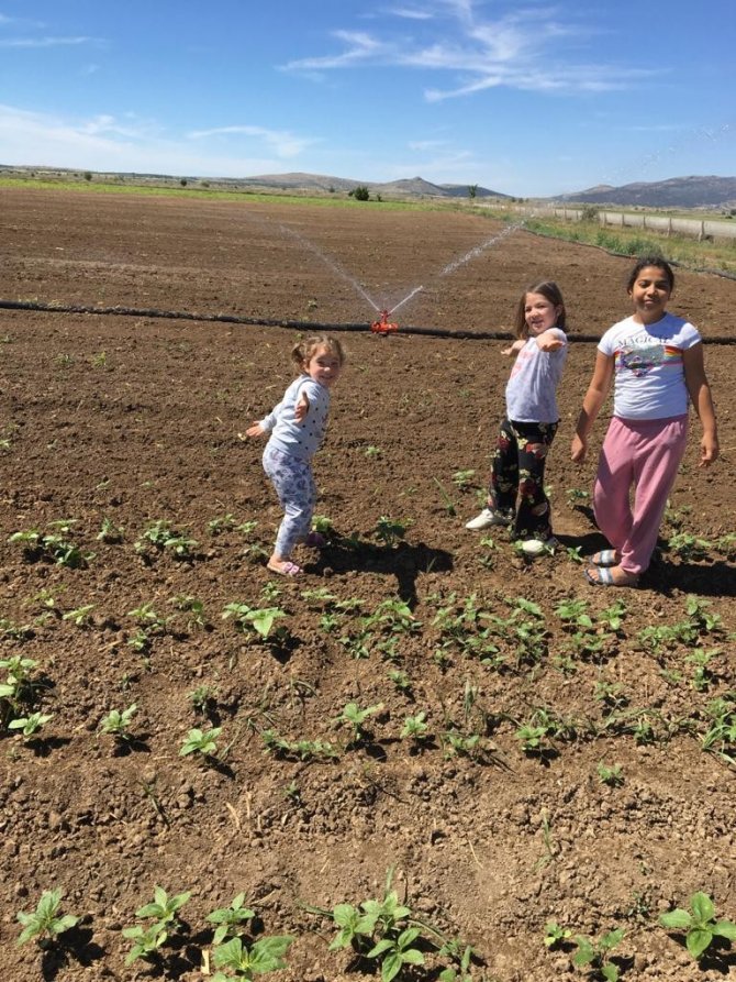 Hibe Desteğinden Yaralanan Yatırımcıların Denetimi Sürüyor