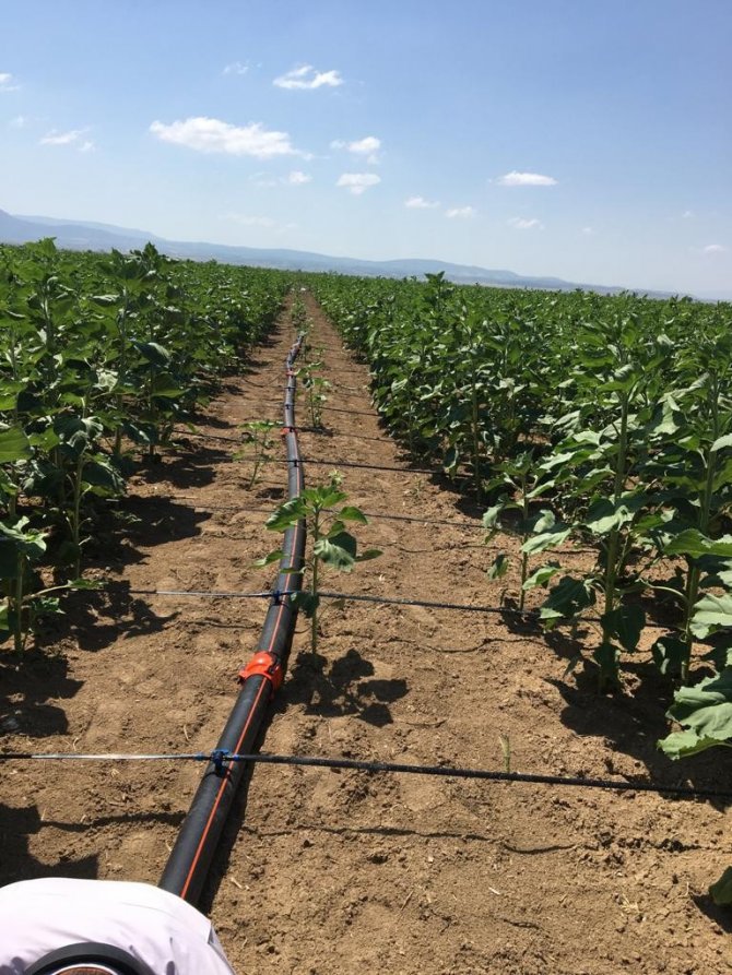 Hibe Desteğinden Yaralanan Yatırımcıların Denetimi Sürüyor