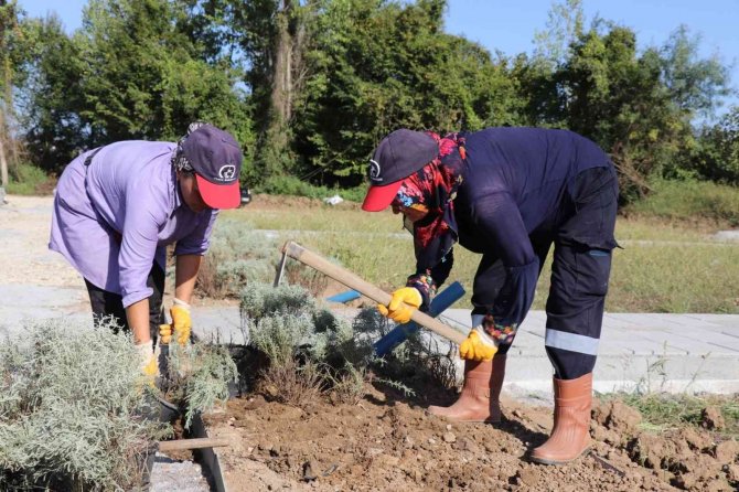 Şehir Mezarlığında Lavanta Kokusu Sardı