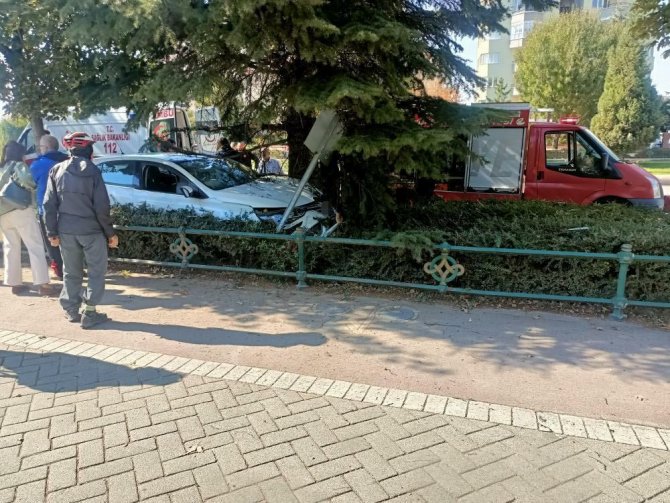 Ağaca Çarpan Otomobilin Sürücüsü Yaralandı