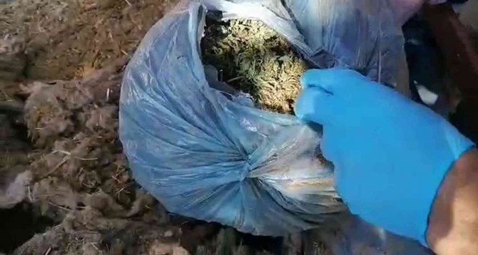 Hatay’da 2 Kilo 450 Gram Esrar Ele Geçirildi