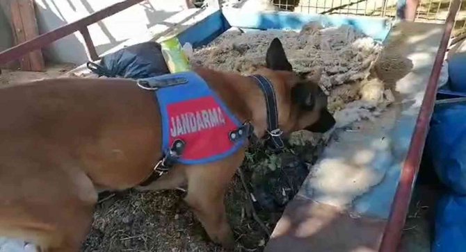 Hatay’da 2 Kilo 450 Gram Esrar Ele Geçirildi