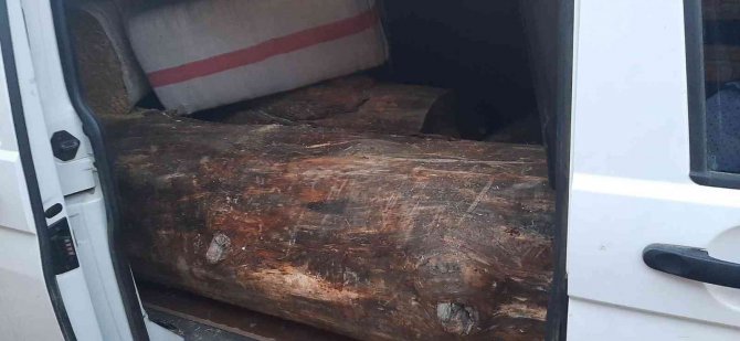 İ̇zmir’de Ormanda Ağaç Kesen 3 Kişi Suçüstü Yakalandı