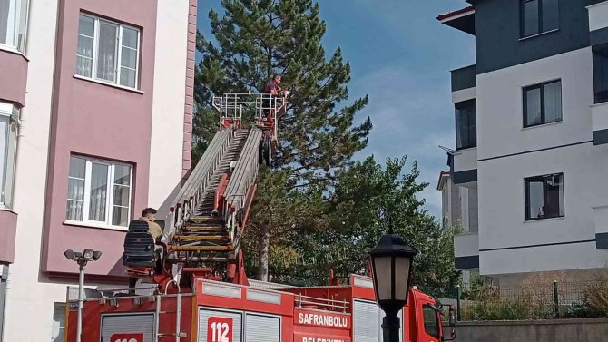 Ağaçta Mahsur Kalan Kediyi İtfaiye Kurtardı