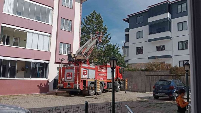 Ağaçta Mahsur Kalan Kediyi İtfaiye Kurtardı