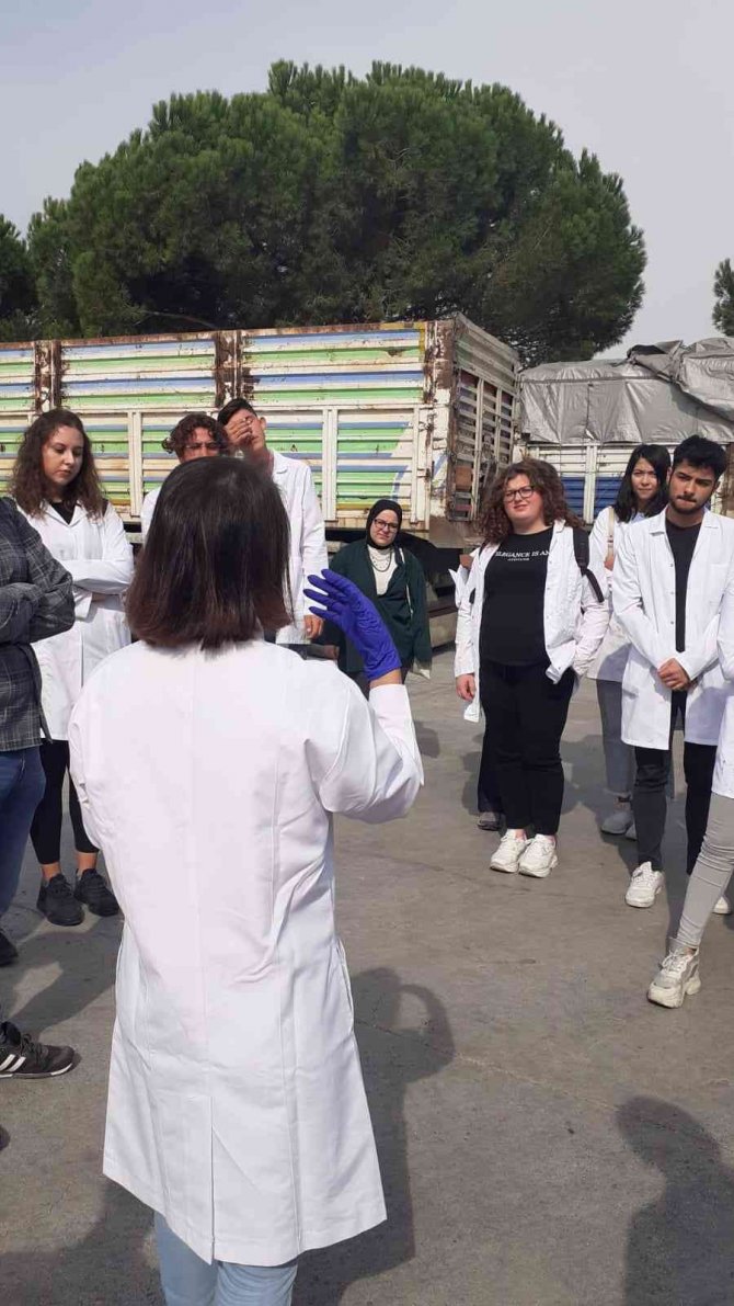 Kepsut Meslek Yüksekokulu Öğrencileri Teknik Gezide