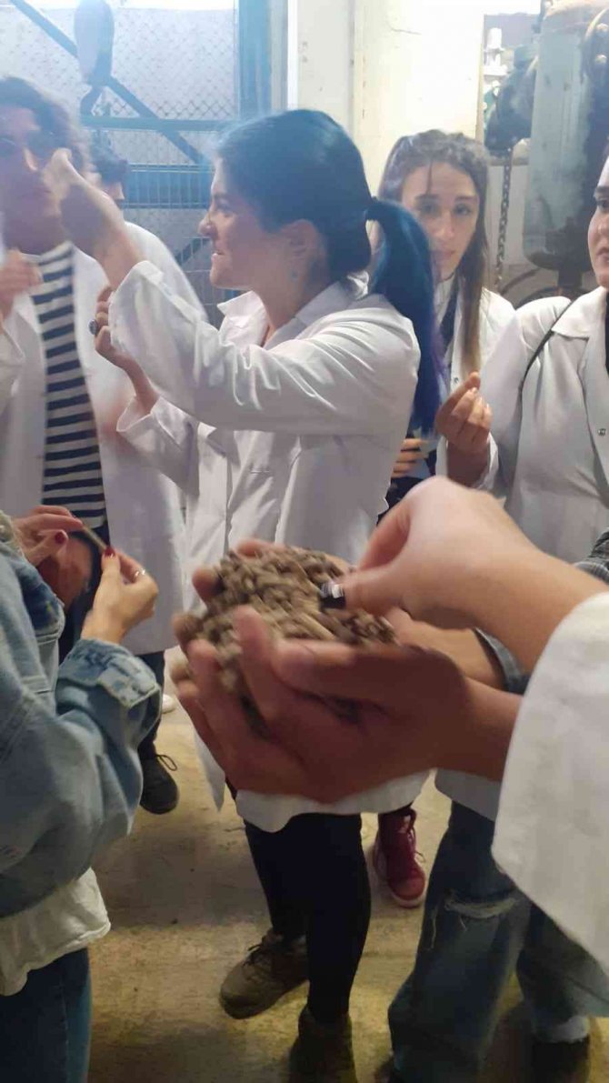 Kepsut Meslek Yüksekokulu Öğrencileri Teknik Gezide