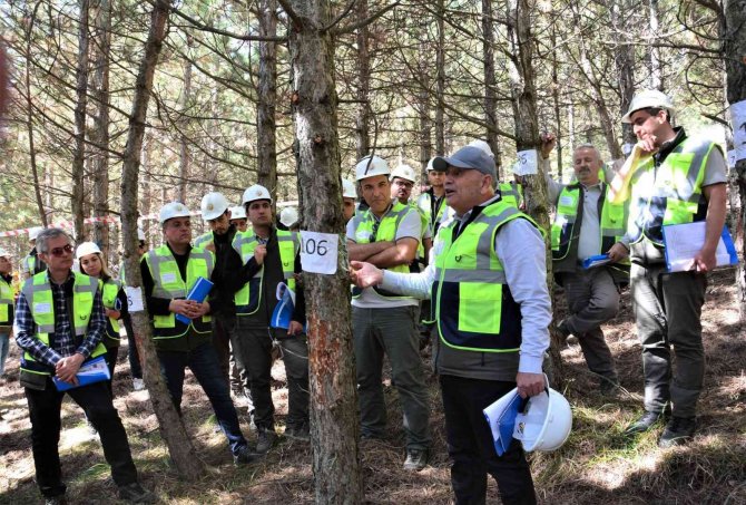 Kütahya’da Ağaçlandırma Tatbikatı