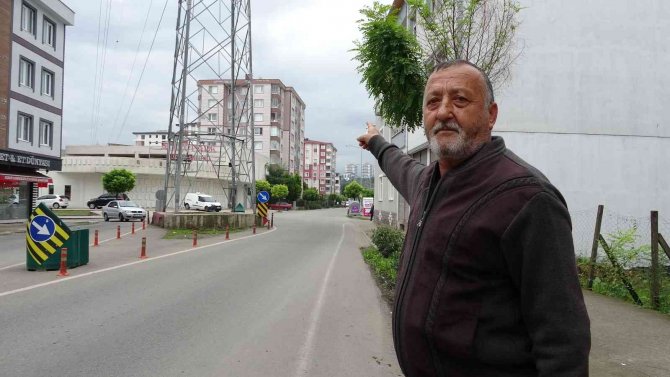 Ordu’da Yol Ortasındaki Yüksek Gerilim Hattı Direği Şaşırtıyor