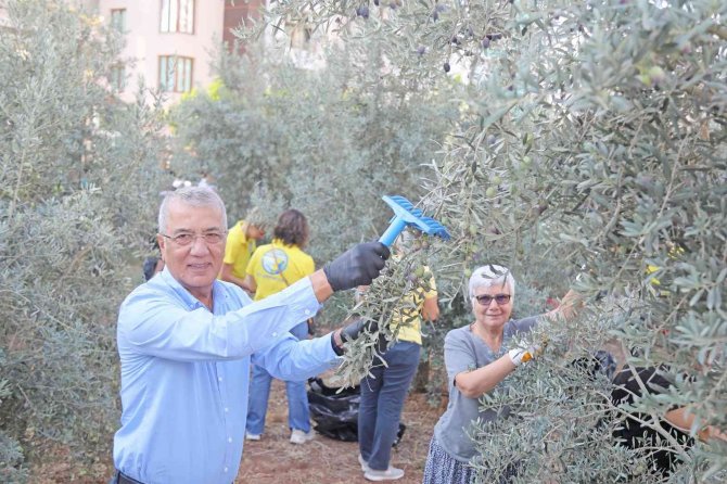 Zeytinler Kız Çocukları İçin Toplandı